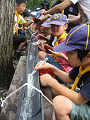 IMG_1018_thumb.png