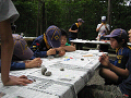 IMG_20005_thumb.png