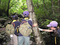 P1040455_thumb.png