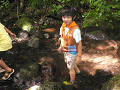 P1040466_thumb.png