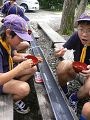 P1040498_thumb.png