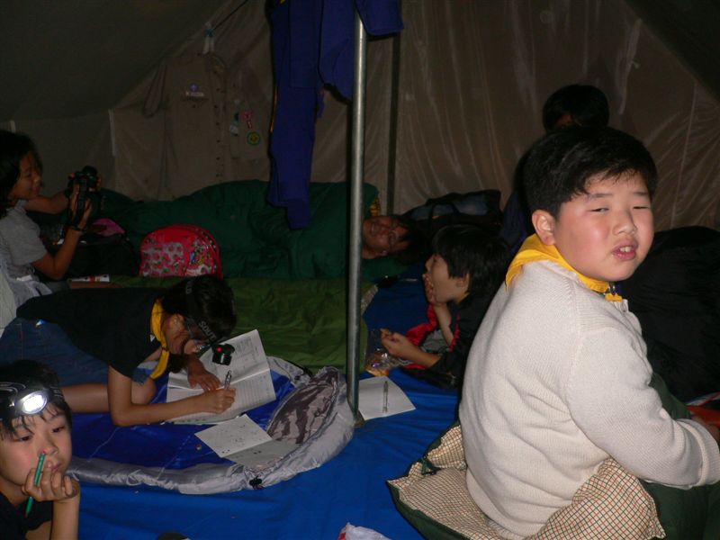 P1040534.jpg