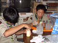 IMG_0006_thumb.png