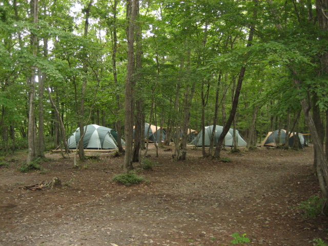 IMG_0007.JPG
