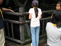 IMG_0009_thumb.png