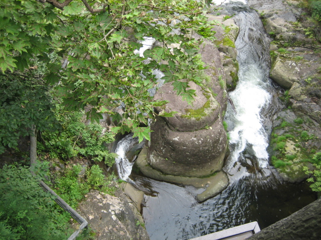 IMG_0011.JPG