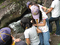 IMG_0013_thumb.png