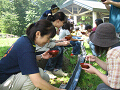 IMG_0017_thumb.png