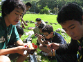 IMG_0021_thumb.png