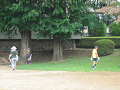 IMG_0013_thumb.png