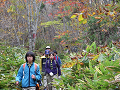 IMGP0192-2_thumb.png