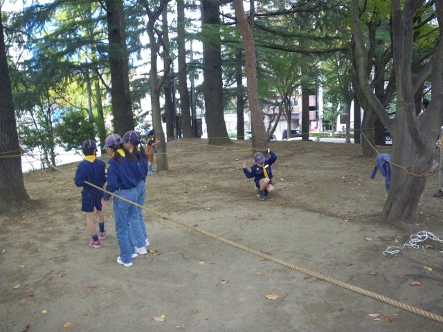 06.jpg
