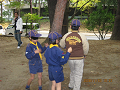 IMG_0062_thumb.png