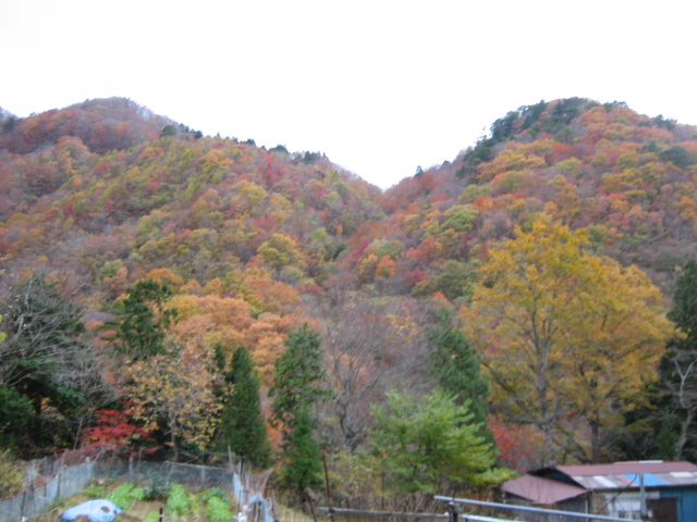 IMG_0006.JPG