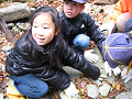 IMG_0013_thumb.png