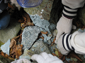 IMG_0014_thumb.png