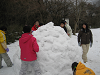 IMG_0030_thumb.png