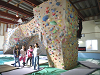 IMGP3053_thumb.png
