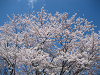 IMG_0014_thumb.png