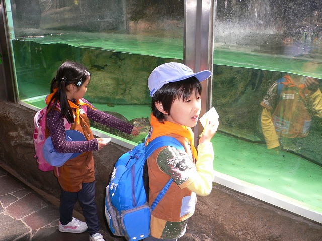 P1050837.jpg