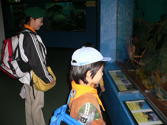 P1050839.jpg