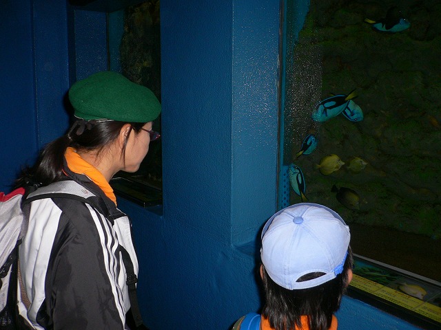 P1050840.jpg