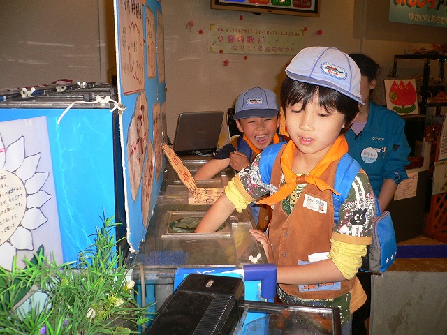 P1050842.jpg