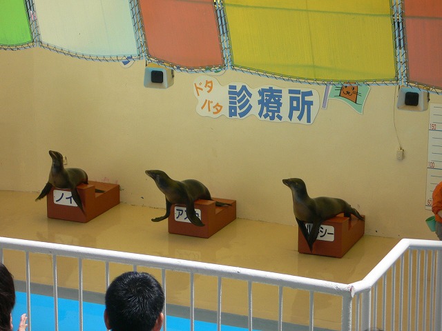 P1050846.jpg