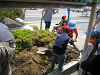 IMG_0010_thumb.png