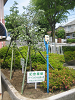 IMG_0022_thumb.png