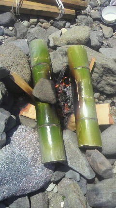 2010071012270000.jpg