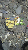 2010071012280000_thumb.png