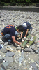 2010071012280002_thumb.png