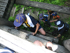 IMG_0042_thumb.png