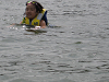 IMG_0118_thumb.png