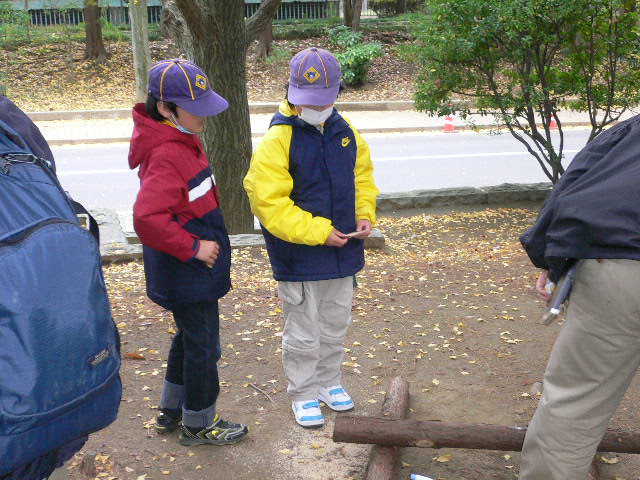 P1050029.JPG