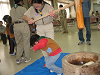 IMG_0249_thumb.png