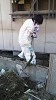 2011040613510001_thumb.png