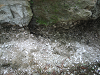IMG_0386_thumb.png