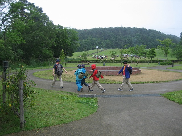 IMG_0430.jpg