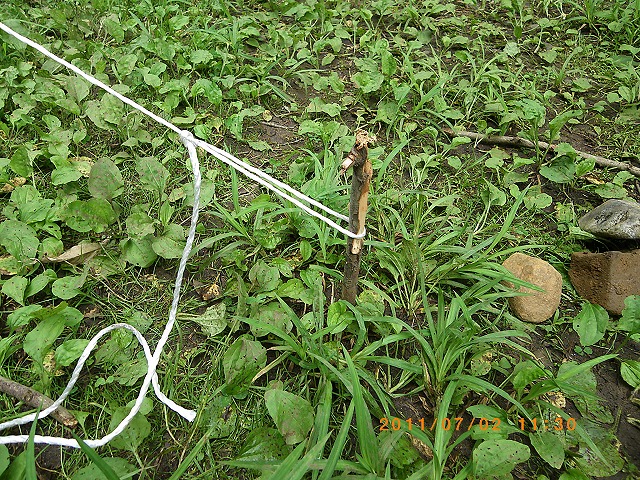 IMGP4016.jpg