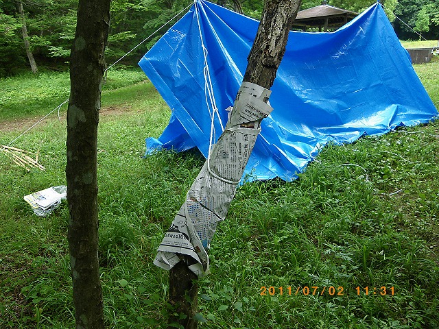 IMGP4017.jpg