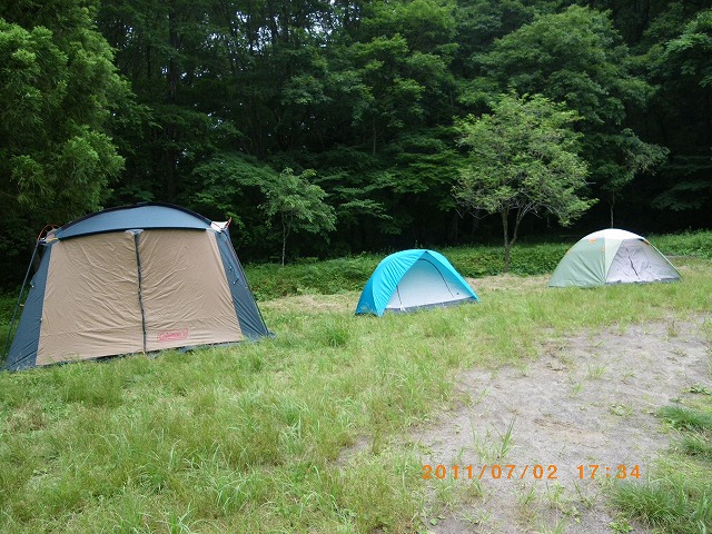IMGP4031.jpg