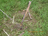 IMGP4036_thumb.png