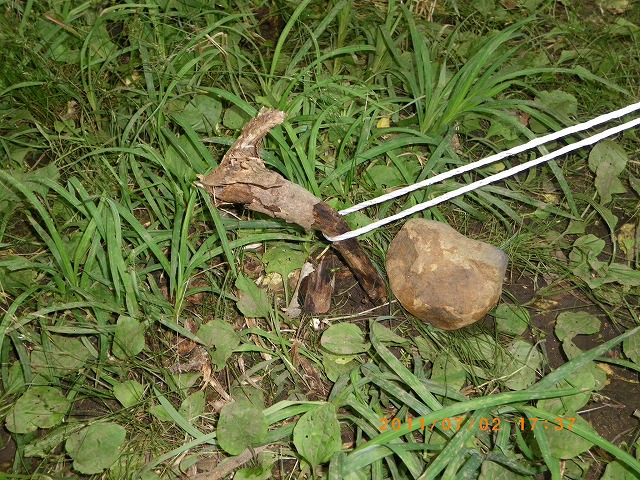 IMGP4037.jpg