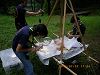IMGP4041_thumb.png