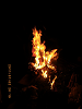 IMGP4054_thumb.png
