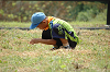 DSC_8950_thumb.png