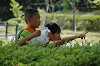 DSC_8958_thumb.png