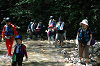 DSC_9078_thumb.png